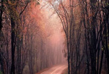 战术板 ｜ 看5分钟就知道国足战术失败，王钰栋无球跑位最接近武磊.