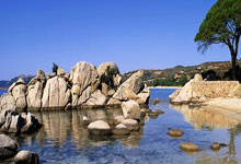 WTA奥斯汀站：袁悦组合逆转击败张帅组合夺冠.